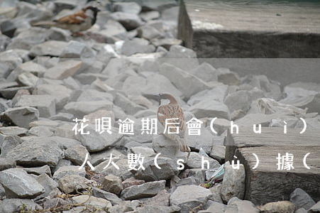 花唄逾期后會(huì)影響到個(gè)人大數(shù)據(jù)嗎-花唄逾期后會(huì)影響到個(gè)人大數(shù)據(jù)嗎知乎