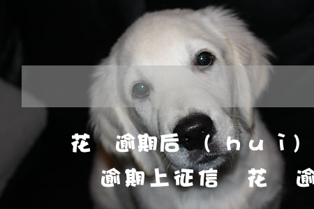 花唄逾期后會(huì)影響征信嗎(花唄借唄逾期上征信嗎?花唄逾期有什么后果)