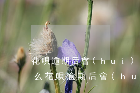花唄逾期后會(huì)關(guān)閉么(花唄逾期后會(huì)關(guān)閉么)
