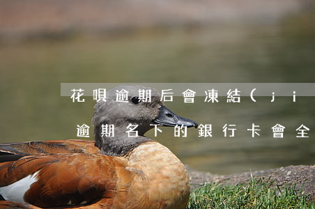花唄逾期后會凍結(jié)銀行卡嗎(花唄逾期名下的銀行卡會全部凍結(jié)嗎?)