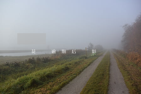 花唄逾期后會影響車貸