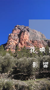 花唄逾期后會影響錄取嗎(信用卡逾期對花唄影響)