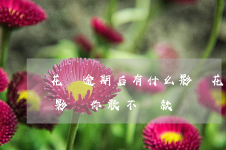 花唄逾期后有什么影響(花唄逾期還款有什么影響?你敢不還款嗎)