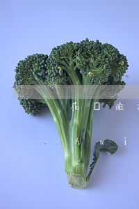 花唄逾期后果工行-花唄逾期后果工行會(huì)催收嗎