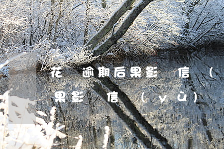 花唄逾期后果影響信譽(yù)(花唄逾期后果影響信譽(yù))
