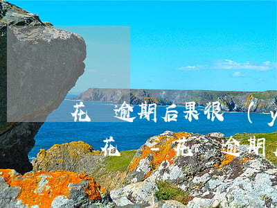 花唄逾期后果很嚴(yán)重!你還敢不還花唄?-花唄逾期后果很嚴(yán)重!你還敢不還花唄嗎