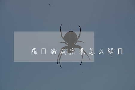 花唄逾期后果怎么解決