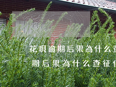 花唄逾期后果為什么查征信不顯示-花唄逾期后果為什么查征信不顯示呢