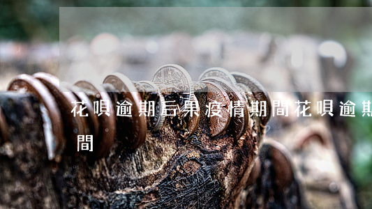 花唄逾期后果疫情期間(花唄逾期后果疫情期間)