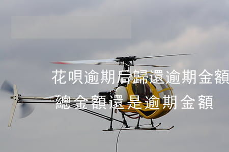 花唄逾期后歸還逾期金額(花唄逾期利息是按總金額還是逾期金額)