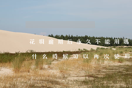花唄逾期后永久不能用嗎(花唄逾期不可用了什么時候可以再次使用)