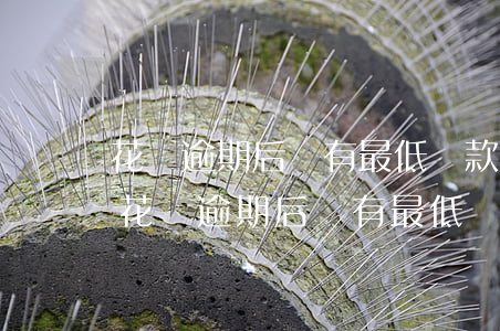 花唄逾期后沒有最低還款必須全額還款嗎-花唄逾期后沒有最低還款必須全額還款嗎