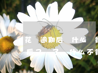 花唄逾期后為什么還能開通-花唄借款逾期后又還了為什么不能再用了