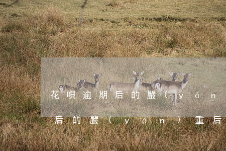 花唄逾期后的嚴(yán)重后果(花唄逾期后的嚴(yán)重后果)