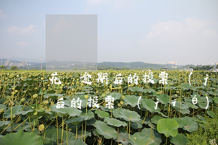 花唄逾期后的投票結(jié)果(花唄逾期后的投票結(jié)果)