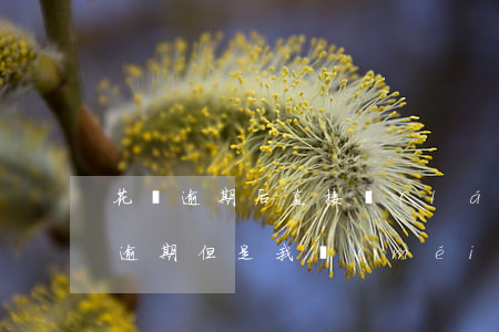 花唄逾期后直接來(lái)找我了(花唄已逾期但是我沒(méi)還款但是我今天看已還款)