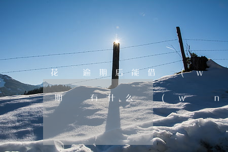 花唄逾期后能借網(wǎng)貸嗎(花唄逾期還有什么網(wǎng)貸可以借的,求大神指導)