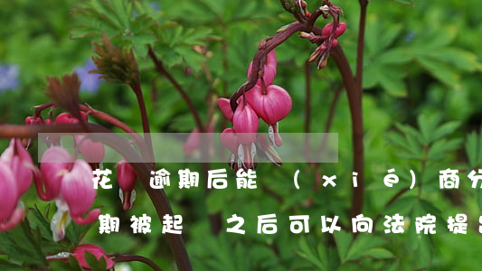 花唄逾期后能協(xié)商分期嗎(花唄逾期被起訴之后可以向法院提出分期償還)