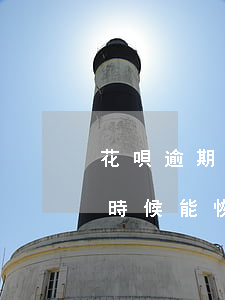 花唄逾期后能恢復信用嗎(花唄影響信用什么時候能恢復)