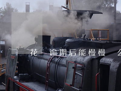 花唄逾期后能慢慢還么