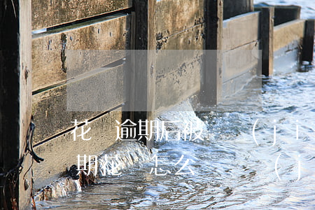 花唄逾期后被凍結(jié)怎么辦(沒有逾期花唄怎么會凍結(jié)了?)