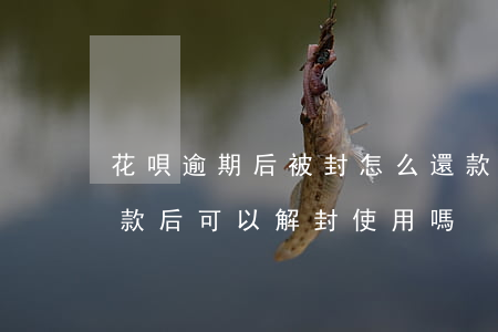 花唄逾期后被封怎么還款(支付寶花唄逾期還款后可以解封使用嗎)