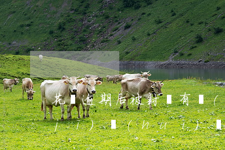 花唄逾期后被封還有開(kāi)通的機(jī)會(huì)嗎-花唄因逾期被凍結(jié)了還有機(jī)會(huì)恢復(fù)嗎