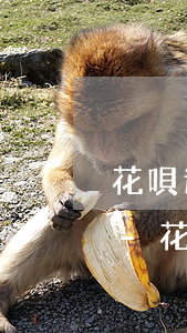 花唄逾期后要求全額還款但是賬單顯示正常-花唄逾期后要求全額還款但是賬單顯示正常還款