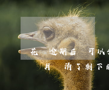 花唄逾期后還可以分期嗎(花唄分期逾期了3個月還清了,剩下的分期能不能繼續(xù)還)