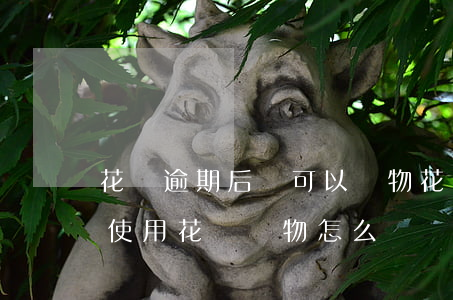 花唄逾期后還可以購物(花唄還款逾期后無法使用花唄購物怎么辦)