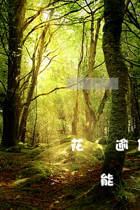 花唄逾期后還完還能用嗎(花唄逾期倆天還了還能繼續(xù)用嗎還有額度嗎)
