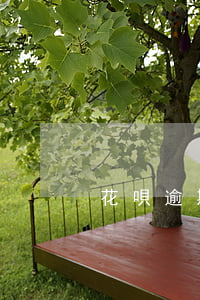花唄逾期后還最低還款還能用嗎-