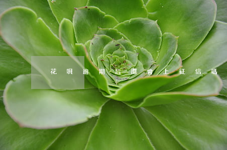 花唄逾期后還會上征信嗎