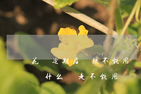 花唄逾期后還款不能用(螞蟻花唄逾期還款了為什么還是不能用)