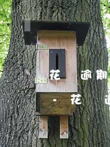 花唄逾期后還款多久才能恢復(fù)使用-花唄逾期后還款多久才能恢復(fù)使用額度