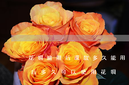 花唄逾期后還款多久能用(花唄逾期之后還款后多久可以使用花唄)