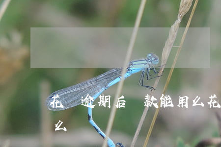 花唄逾期后還款能用么(花唄逾期后還款能用么)