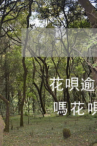 花唄逾期后還清了后還會(huì)被起訴嗎(花唄欠款被起訴后馬上還款是還逾期款嗎)
