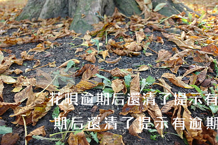 花唄逾期后還清了提示有逾期行為-花唄逾期后還清了提示有逾期行為怎么辦