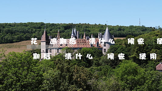 花唄逾期后還清什么時候恢復使用-花唄逾期后還清什么時候恢復使用額度