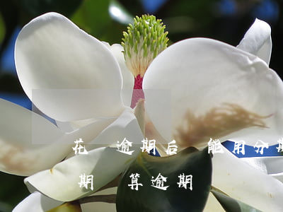 花唄逾期后還能用分期嗎(支付寶花唄逾期分期還算逾期嗎)