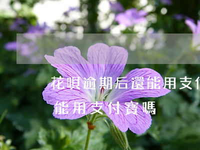 花唄逾期后還能用支付寶嗎-花唄逾期后還能用支付寶嗎