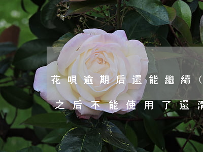 花唄逾期后還能繼續(xù)還嗎(花唄逾期之后不能使用了還清了還能恢復(fù)嗎)
