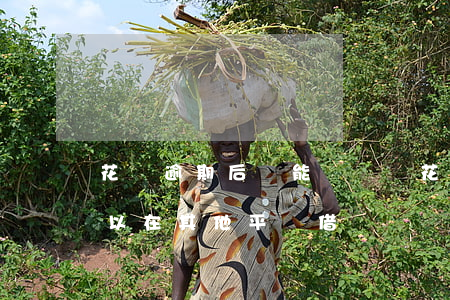 花唄逾期后還能還錢嗎(花唄逾期還完了還可以在其他平臺借錢嗎)