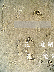 花唄逾期后銀行卡不能用了還完怎么解凍-花唄逾期凍結銀行卡 還款后可以解凍嗎