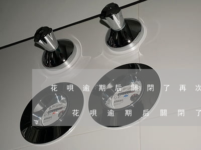 花唄逾期后關閉了再次開通后還可以提額嗎-花唄逾期后關閉了再次開通后還可以提額嗎
