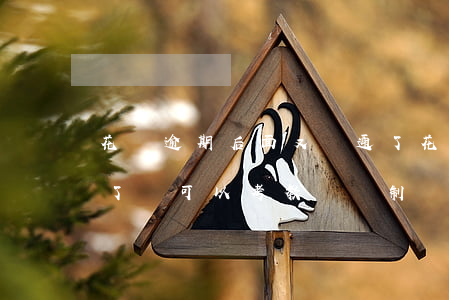 花唄逾期后面又開通了(花唄逾期后面又開通了會可以考教師編制)