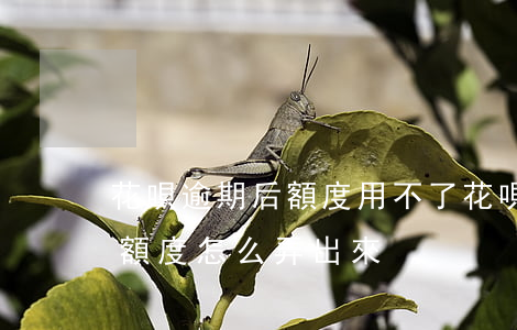 花唄逾期后額度用不了 花唄逾期后不能用了,額度怎么弄出來