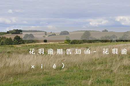 花唄 逾期 告知函-花唄 逾期 告知函怎么寫(xiě)