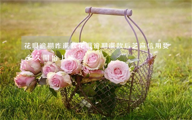 花唄逾期咋還款(花唄逾期還款后芝麻信用要多久開始上漲)